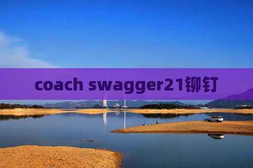 coach swagger21铆钉